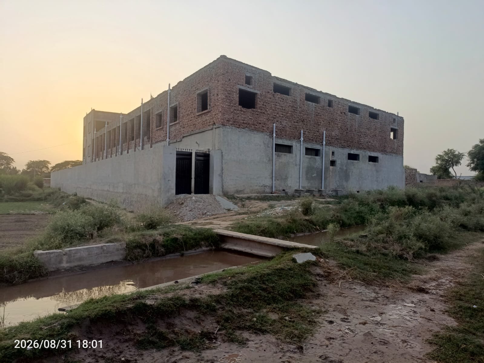 School Back View